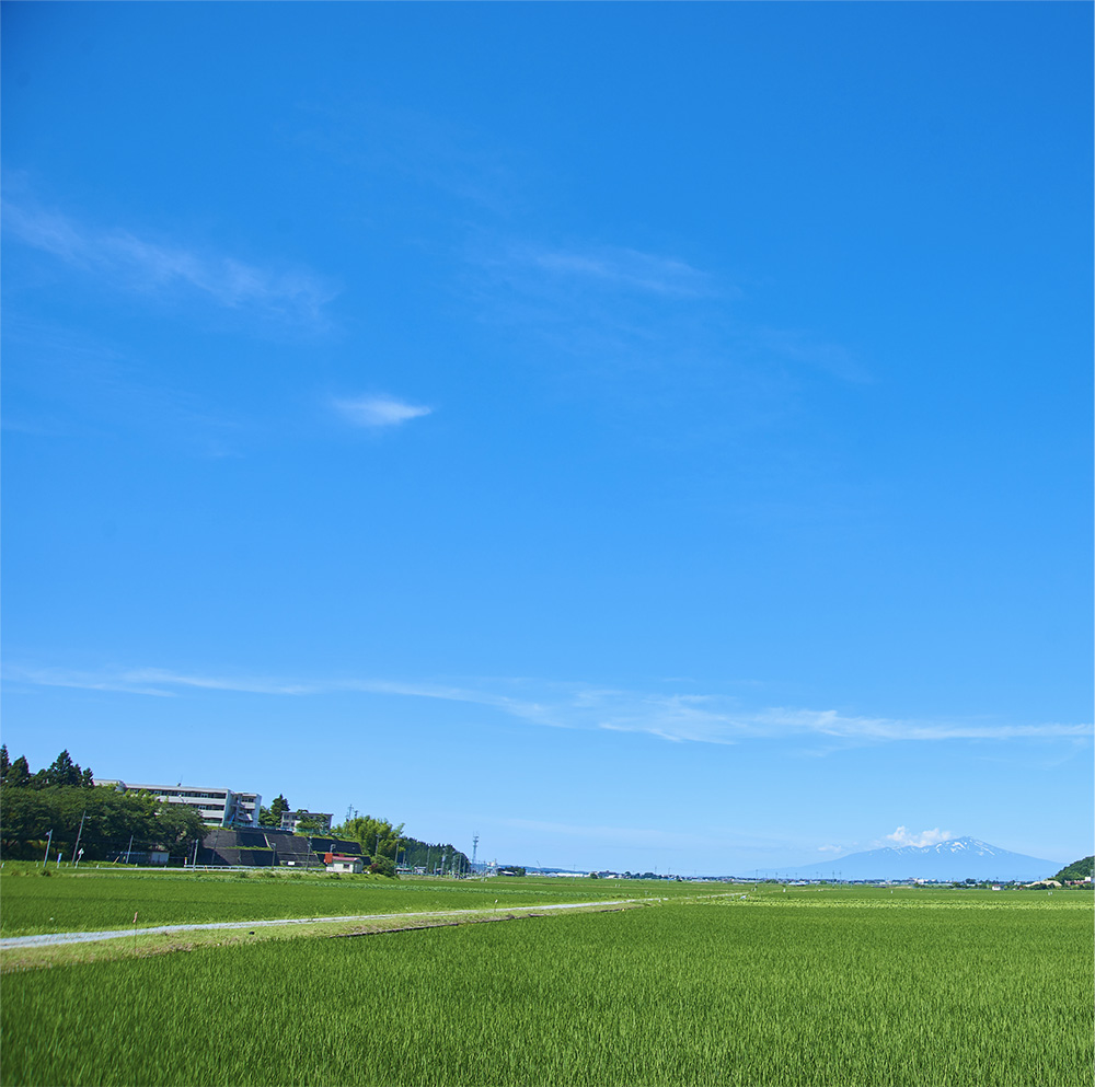 青空と田んぼ